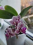     
: IMG_20220227_072959.jpg
: 3
:	73.1 
ID:	13561632