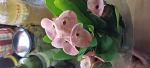     
: IMG_20220805_190649.jpg
: 7
:	57.1 
ID:	13562425
