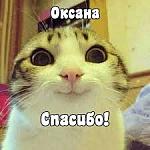     
: images.jpg
: 14
:	8.1 
ID:	13562476