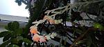     
: IMG_20220811_194936.jpg
: 5
:	95.4 
ID:	13563122