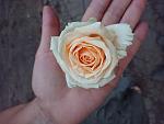     
: c0823be89595eb3ccf4d71ae9aad82230ce5cbc48545f57471b5adfc8ededf7d.jpg
: 7
:	76.4 
ID:	13563879