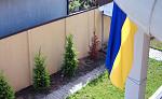     
: 23-pr.jpg
: 22
:	49.6 
ID:	13564260