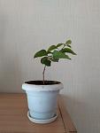     
: IMG_20220815_083152.jpg
: 23
:	84.0 
ID:	13564660