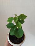     
: IMG_20220815_083203.jpg
: 32
:	39.1 
ID:	13564661
