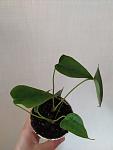     
: IMG_20220815_083422.jpg
: 32
:	50.1 
ID:	13564663