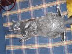     
: smarti_resting.jpg
: 36
:	138.0 
ID:	135664
