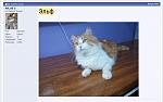     
: IMG_20220910_215049.jpg
: 44
:	155.4 
ID:	13566568