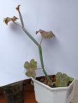     
: IMG_20220911_103358.jpg
: 5
:	50.9 
ID:	13566603
