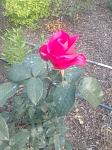     
: IMG_20220602_190352585.jpg
: 28
:	128.6 
ID:	13567116