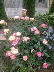     
: IMG_20220606_085728392.jpg
: 28
:	134.7 
ID:	13567118