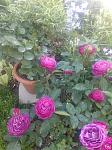     
: IMG_20220604_093143367.jpg
: 20
:	121.4 
ID:	13567119