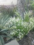     
: IMG_20220514_190352869.jpg
: 33
:	107.4 
ID:	13567121