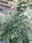     
: IMG_20220912_174749357.jpg
: 25
:	203.4 
ID:	13567122