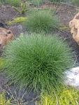     
: IMG_20220520_200612958 (1).jpg
: 22
:	160.7 
ID:	13567262