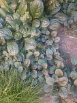     
: IMG_20220620_195819002.jpg
: 19
:	141.3 
ID:	13567272