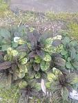     
: IMG_20220620_195924913.jpg
: 26
:	106.8 
ID:	13567274