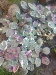     
: IMG_20220620_195849655.jpg
: 27
:	148.0 
ID:	13567275