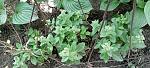     
: IMG_20220924_124402.jpg
: 10
:	151.7 
ID:	13568249
