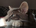     
: 1664131523786.jpg
: 22
:	165.4 
ID:	13568434