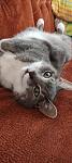     
: 1664131523806.jpg
: 22
:	77.4 
ID:	13568450