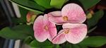     
: IMG_20221003_184008.jpg
: 3
:	51.7 
ID:	13569031
