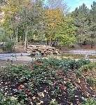     
: A64F1D78-44FE-4DA2-98E6-DD34985935F4.jpg
: 27
:	195.3 
ID:	13570567