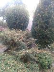     
: IMG_20220722_204130830.jpg
: 9
:	147.5 
ID:	13570729