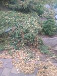     
: IMG_20220722_204106974.jpg
: 8
:	141.9 
ID:	13570731