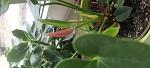     
: IMG_20221028_085542.jpg
: 5
:	80.1 
ID:	13570855