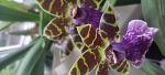     
: IMG_20221028_090343.jpg
: 6
:	61.9 
ID:	13570856