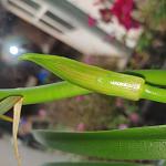     
: IMG_20221112_080135.jpg
: 3
:	70.4 
ID:	13572217