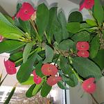     
: IMG_20221112_080044.jpg
: 4
:	110.8 
ID:	13572219