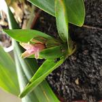     
: IMG_20221112_081705.jpg
: 3
:	86.4 
ID:	13572220