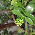     
: IMG_20221112_080242.jpg
: 4
:	97.4 
ID:	13572222