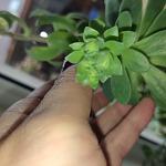     
: IMG_20221112_080159.jpg
: 3
:	61.7 
ID:	13572223