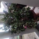     
: IMG_20221112_080307.jpg
: 4
:	145.7 
ID:	13572224