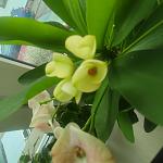     
: IMG_20221112_080418.jpg
: 3
:	72.8 
ID:	13572225