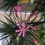    
: IMG_20221118_094838.jpg
: 3
:	161.5 
ID:	13572749