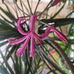     
: IMG_20221118_094811.jpg
: 3
:	92.3 
ID:	13572750