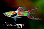     
: 1517071565_01.jpg
: 26
:	26.3 
ID:	13573040