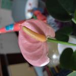     
: IMG_20221122_115024.jpg
: 1
:	51.3 
ID:	13573308