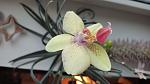     
: IMG-633142920a847cc7a7b773d9f3b9579d-V.jpg
: 2
:	64.1 
ID:	13573393