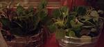     
: IMG_20221215_201951.jpg
: 14
:	55.4 
ID:	13574294
