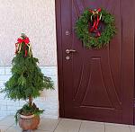     
: IMG_20221230_124457.jpg
: 23
:	176.9 
ID:	13575032