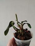     
: IMG_20221231_135646.jpg
: 15
:	44.0 
ID:	13575066