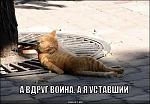     
: .jpg
: 3
:	32.3 
ID:	13575416