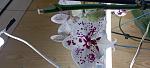     
: IMG_20230217_115801.jpg
: 5
:	66.4 
ID:	13578097