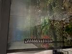     
: BD253AD8-0C0B-458C-811D-676AF6D426A9.jpg
: 10
:	72.7 
ID:	13578368