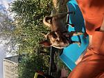     
: 09D20C76-888F-40AF-A5E6-B12B5165D546.jpg
: 17
:	167.2 
ID:	13578458