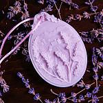     
: Sashe lavender 22.02.2023 IMG_0412.jpg
: 10
:	139.1 
ID:	13578470